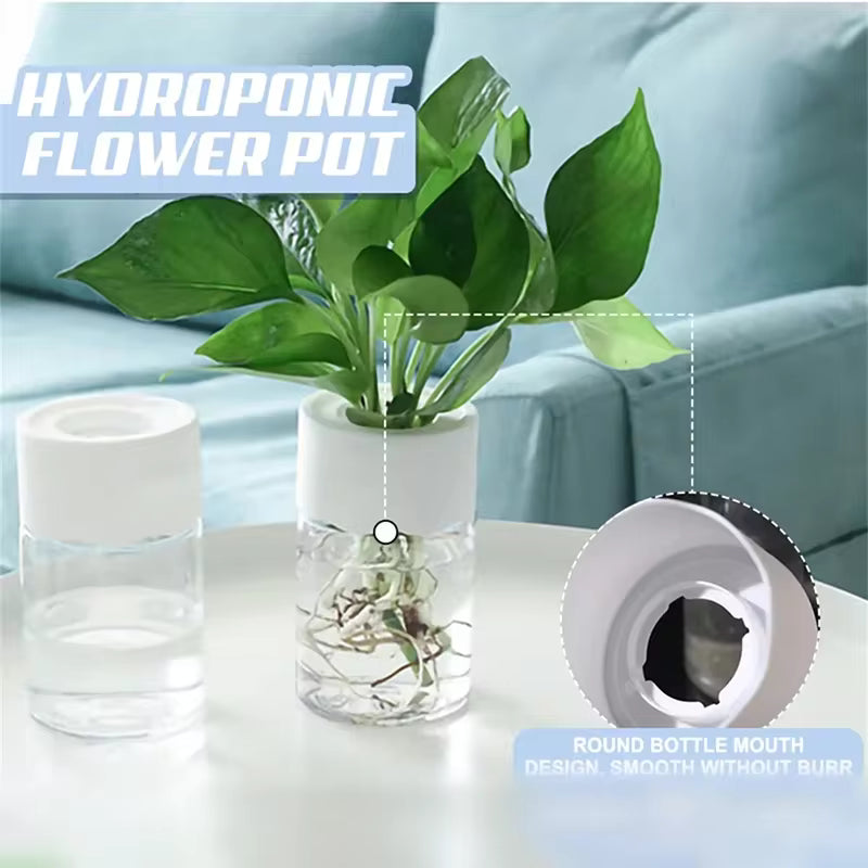 Mini Hydroponic Flower Pot Home Vase