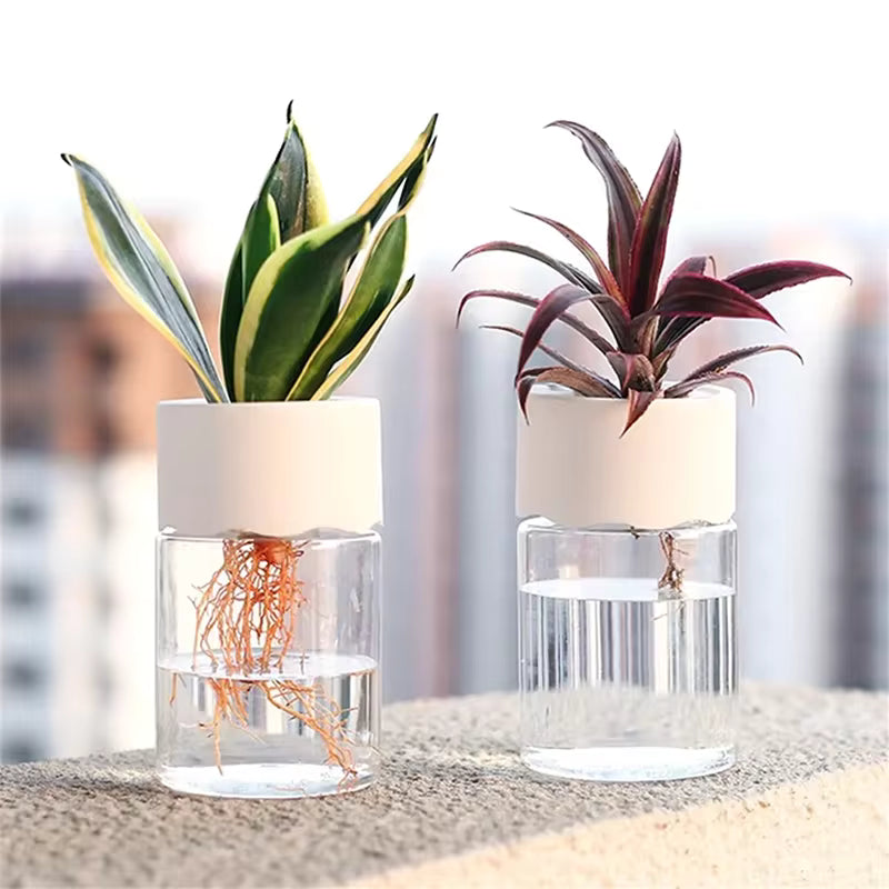 Mini Hydroponic Flower Pot Home Vase