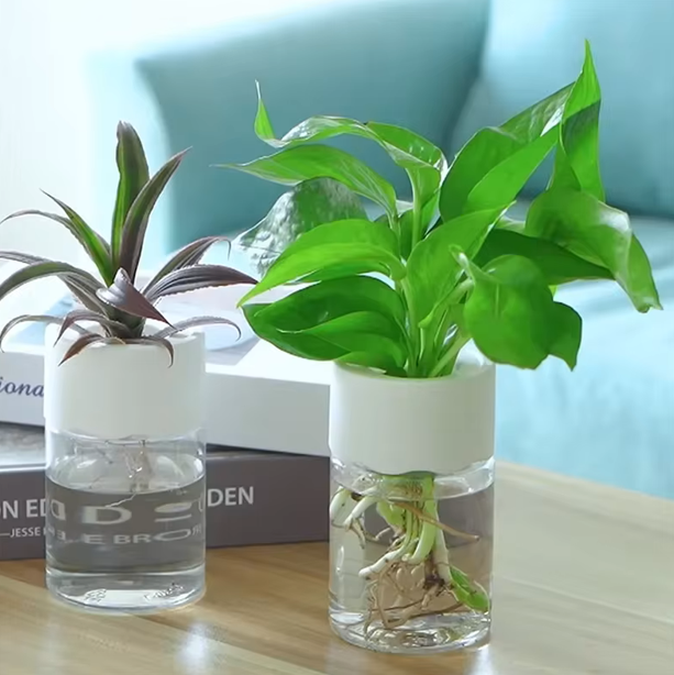 Mini Hydroponic Flower Pot Home Vase