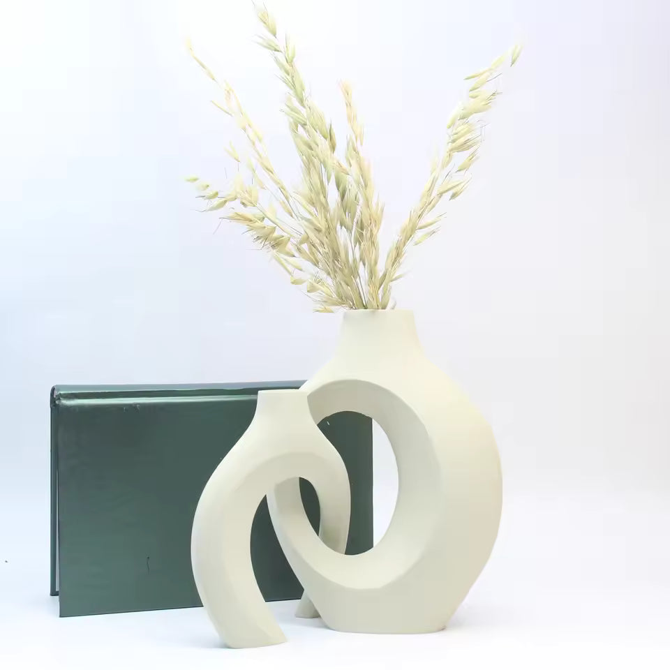 Home Decoration Ornaments Vase