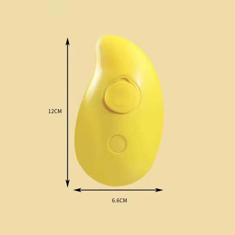 Hot pet spray massage comb