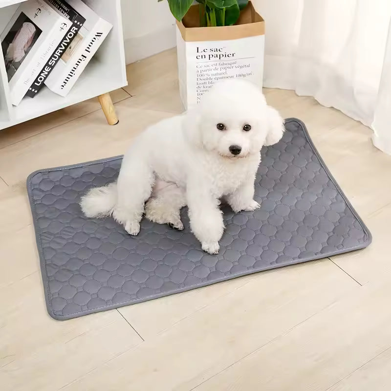 Reusable Dog Pee Pad Blanket Absorbent Diaper
