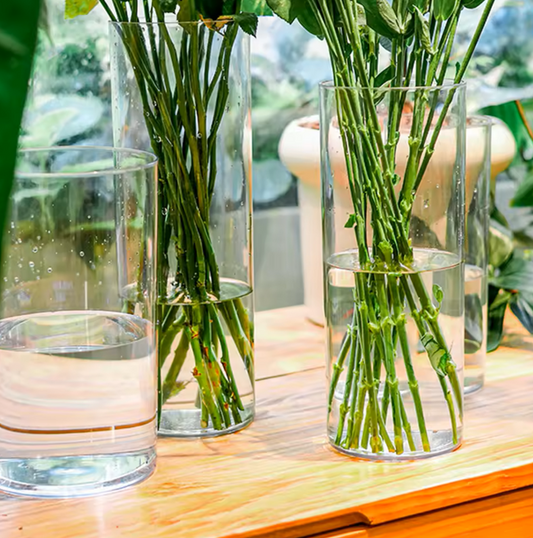 Acrylic Clear Cylinder Flower Vase
