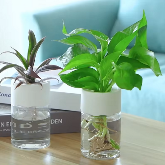 Mini Hydroponic Flower Pot Home Vase